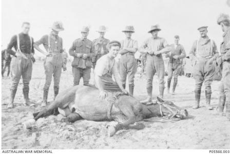 10 LH in Egypt with horse trained to lie down. Tpr. Overton 2nd from left. Photographer R.G.Hummerston, photograph source AWM P0556.003