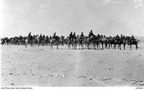 1st Australian Camel Corps at Suez c 1917. Photograph donor Cptn. J.D. Cramb, photograph source AWM J05843