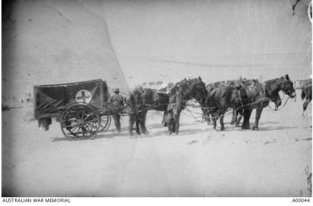 3rd Light Horse Field Ambulance Suez, Egypt 1917. Photographer unknown, photograph source AWM A00044