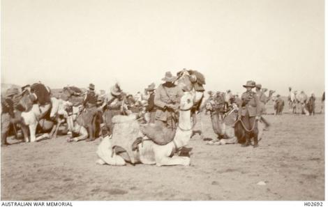 4th Bn. ANZAC Section, Imperial Camel Corps at Abassia 1915. Photographer unknown, photograph source AWM H02692