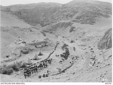 9th Light Horse camped in Jordan Valley near Jericho 1918. Photographer unknown, photograph source AWM B00236 