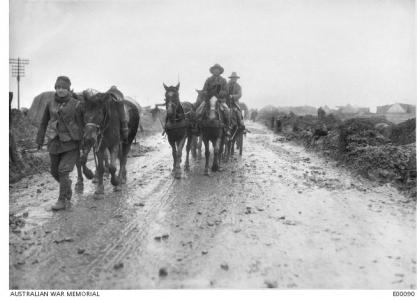 Ammunition packhorses, France, December 1916. Photographer unknown, photograph source AWM E00090