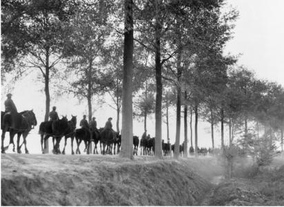 Artillery Horses on the road between Popperhinge and Ypres.1917. Photographer unknown, photograph source E00827
