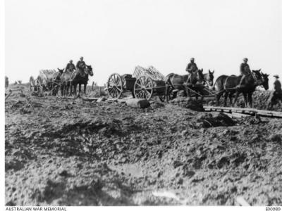 Artillery Limbers loaded with duckboards,Ypres 1917. Photographer unknown, photograph source AWM E00989