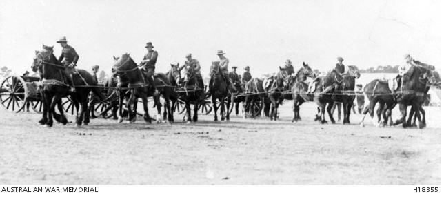 Artillery Training at Broadneadows Vic. Photographer unknown, photograph AWM H18355