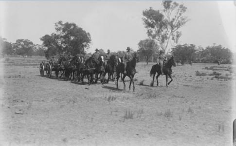 Artillery Training at Guildford. Photographer Mitchell, E. L. photograph source SLWA 031217PD