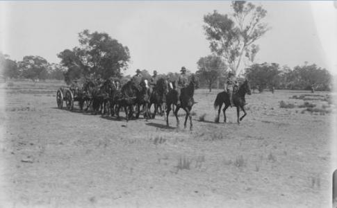 Artillery Training at Guildford. Photographer Mitchell, E. L. photograph source SLWA 031217PD