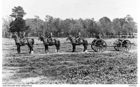 Artillery Training at Maribyrnong, Vic. Photographer unknown, photograph source AWM H18765