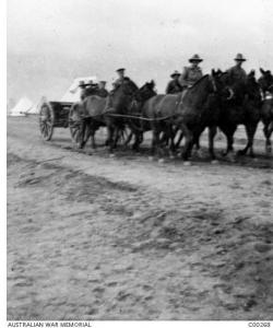 Artillery driving 4 horses at a camp between Cairo and Suez Canal 1916. Photographer unknown, Photograph source AWM C00268