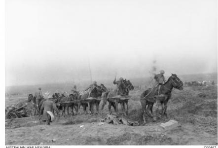 Artillery horses onthe Westhoek Road 1917. Photographer Charles Barnes photograph source AWM C00467