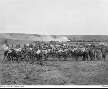 Artillery prepare to support 4th Army Bde October 1918. Photographer unknown, photograph source AWM E03645