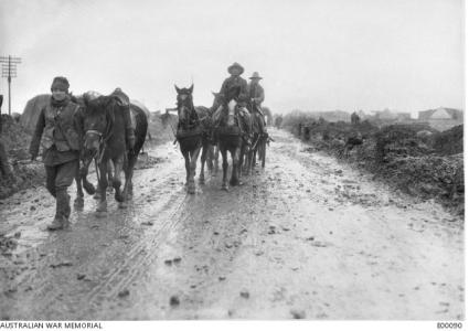 Australian Artillery pack horses in France. Photographer unknown, photograph source AWM E00090