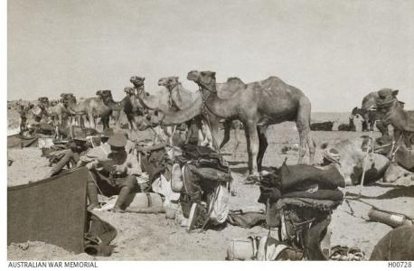 Australian Camel Corps Field Ambulance 1917. Photographer unknown, photograph source AWM H00728