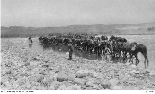 Australian Light Horsemen watering horses enroute for Beersheba. Photographer unknown, photograph source AWM H16048