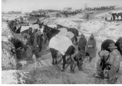 Australian farriers shoeing horses by the side of the Baupame Road,Bazentin, France 1917. Photographer unknown, photograph source AWM E00184