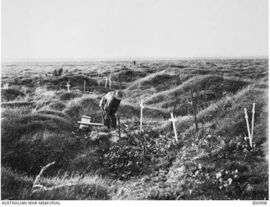 Australian graves at Pozieres 12 months after the battle, 1917. Photographer unknown, photograph sourced AWM E00998