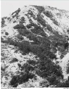 Bloody Angle, Gallipoli, right hand corner in valley 1919. Photographer James, W.H., Swanston W.H., photograph source AWM G01766