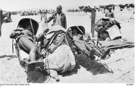 Camel ambulance showing the cacolets for carrying the sick and wounded. Photograph donor F.H. Smith, photograph source AWM J02884