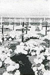 Demasson H.P. Grave. Palmer and Ashworth (1922) Facs.Ed. Photograph reproduced with permission of Hesperian Press, pub Vic.Park WA. 2014 p80 Demasson H.P. Grave. Palmer and Ashworth (1922) Facs.Ed. Photograph reproduced with permission of Hesperian Press, pub Vic.Park WA. 2014 p80