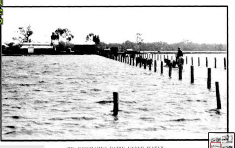 Deschamps Dairy at Caversham nr. Guildford - 1915 floods. Photo source Western Mai 13.8.1915 p3