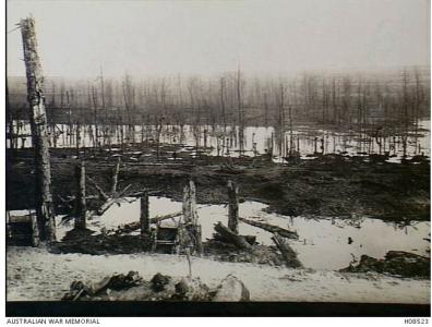 Desolate countryside near Ancre. Photographer  unknown, photograph source AWM H08523