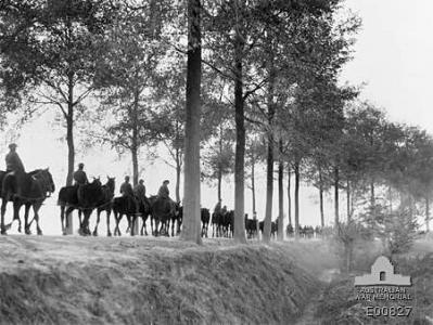 Road to Ypres 1917. Photographer unknown, Photograph source AWM E00827