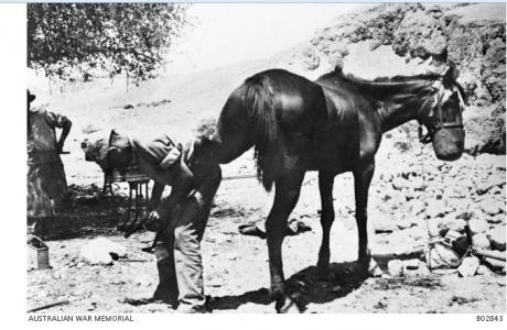 Farrier Smith Light Horse Jordan. Photographer unknown, photograph source AWM B02643