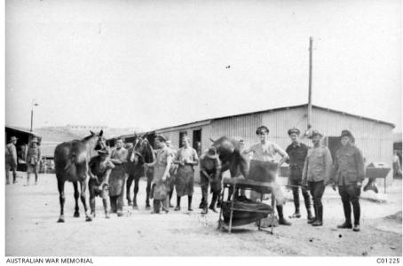 Farriers at the ASC Depot, Parkhouse, Salisbury Plain. UK 1917. Photographer unknown, photograph source AWM C01225