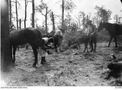 Farriers at their improvised smith work shop near Moricourt 1918. Photographer unknown, photograph source AWM E03086