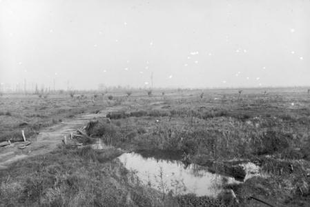 Fromelles- No Man's Land 1916. Photographer unknown, photograph source AWM E04030