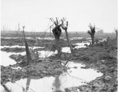 Ground around Zonnebeke October 1917. Photographer unknown, photograph source AWM E01200