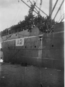 HMAT &#039;Geelong&#039; at Alexandria. Photographer Schuler P.E.F. photograph source AWM  PS0366