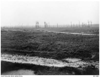 Messines, showing winter trenches 1917. Photographer unknown, photograph source AWM E0128