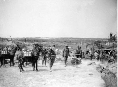 Pack mules supplying ammunition to the Artillery at the front lines, France1916. Official  British War photographer, photograph source  AWM EZ013