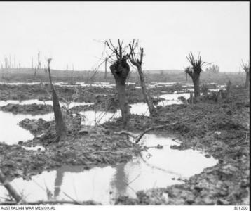 Passchendaele 1917. Photographer unknown, photograph source AWM E01200