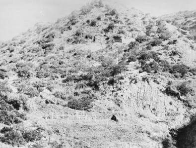 Pope's Hill Cemetery 1919. Photograph made by James W.H.  & Swanston W.H. Photograph source AWM G01852