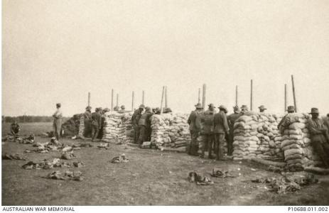 Rollestone Training Camp, live grenade throwing practice. Photographer Downes H. album, photograph source AWM P10688.011.002