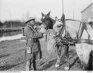 Soldier and horses with gas masks 1918. Photographer unknown, photograph source AWM K00035