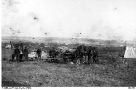 Wagons of the 4th Division DAC c1918. Photograph donor C.W.L. Muecke, photograph source AWM J0629