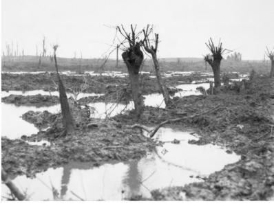 Zonnebeke, First Battle of Passchendaele. Photographer unknown, photographer sourced AWM E01200